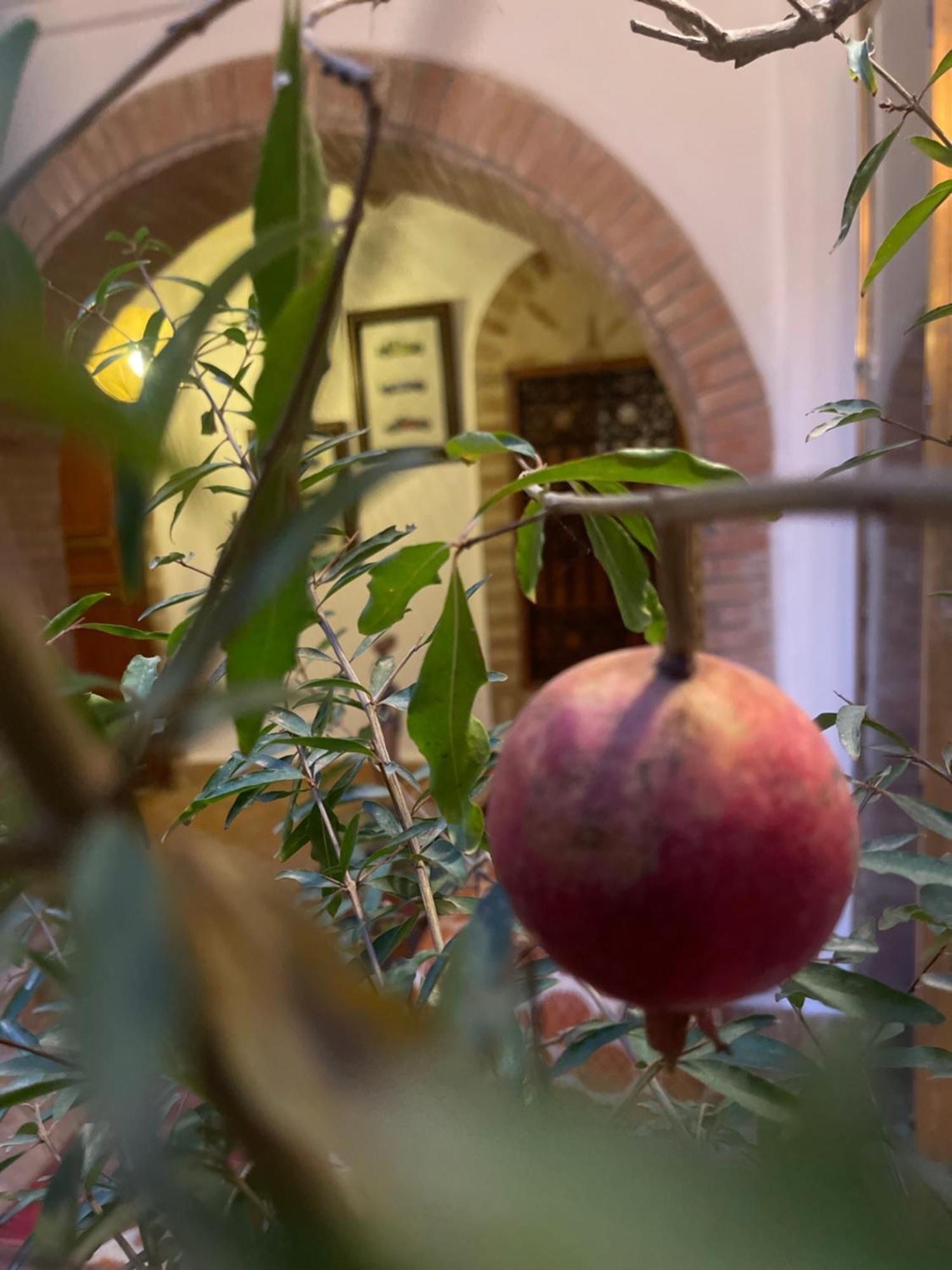 La Maison Berber Shams Marrakesh Eksteriør bilde
